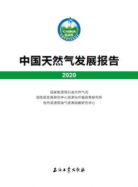 2020中國天然氣發(fā)展報(bào)告（含2017、2018、2019、2020）